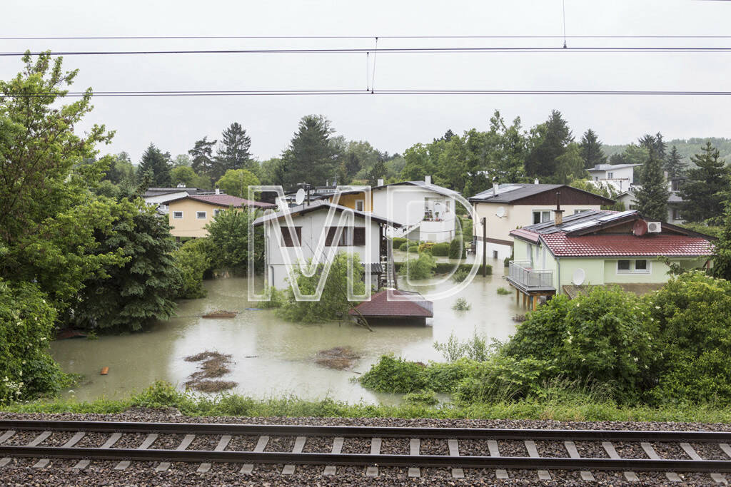 Hochwasser, Greifenstein, Badesiedlung, © Martina Draper (03.06.2013) 