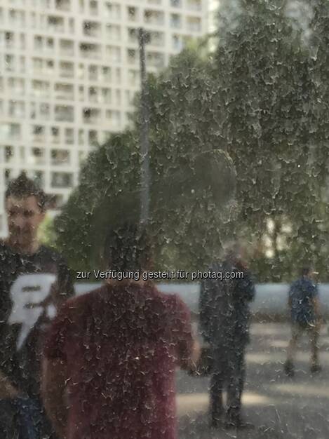 Aufsichtsratspräsident a.D. verlässt die Bühne, 3. von links, Semperit-HV 2018 (25.04.2018)