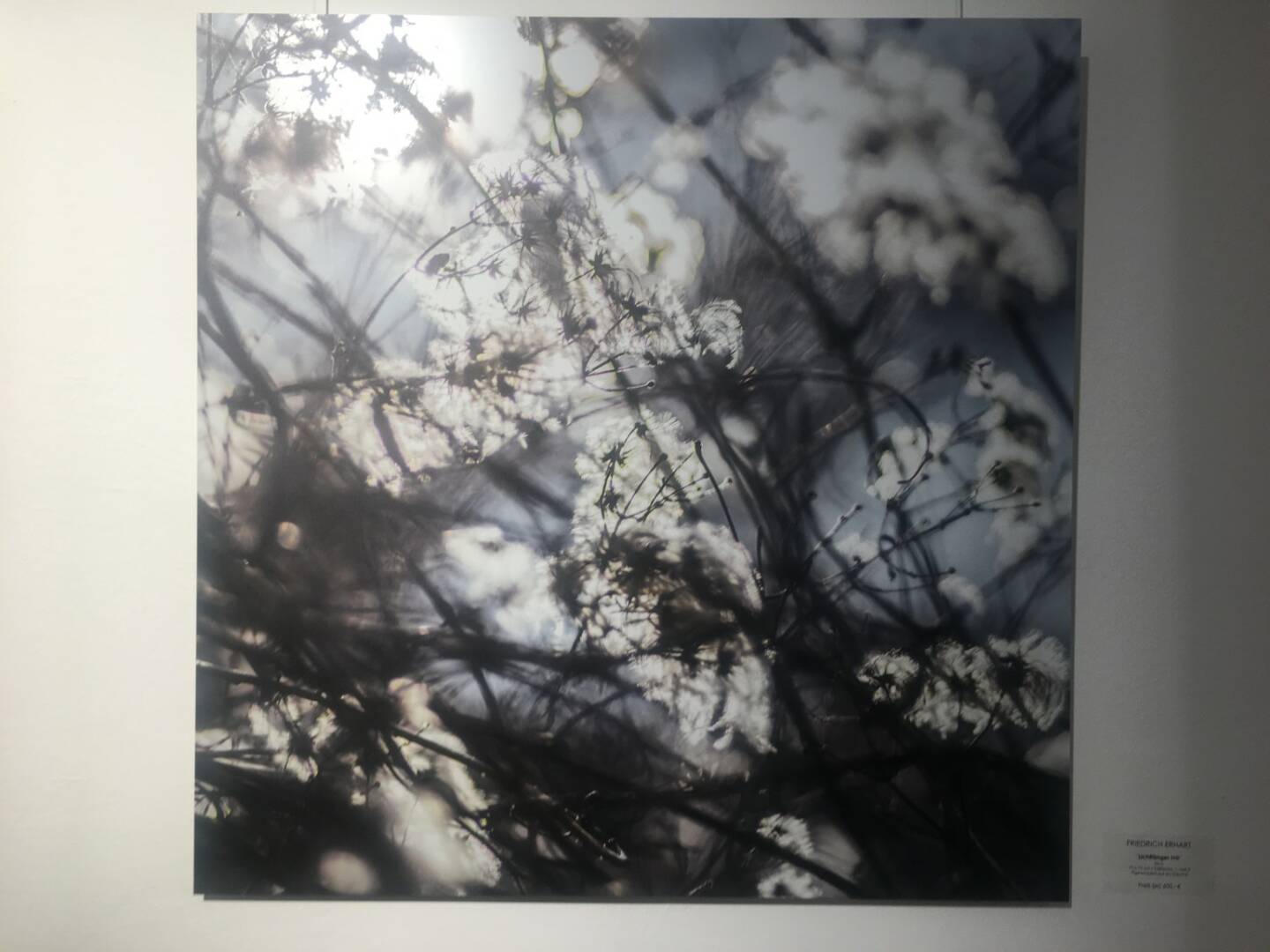 Friedrich Erhart, Lichtfänger, Pigment-Print auf Alu-Dipond, weitere Werke unter www.friedrich-erhart.com