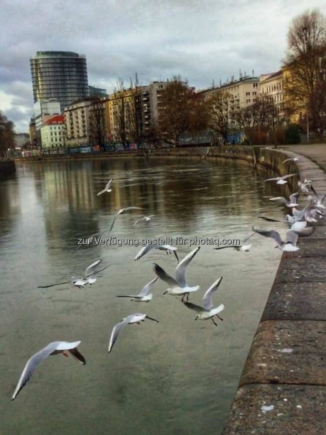 Donaukanal