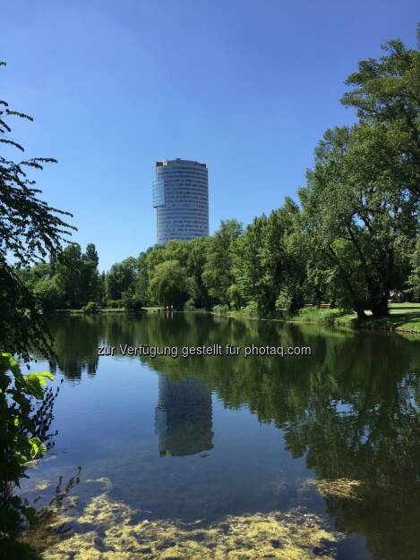 Spaziergang Alte Donau mit Blick auf den Florido-Tower, nach der Warimpex-HV 3.6.19 (04.06.2019) 