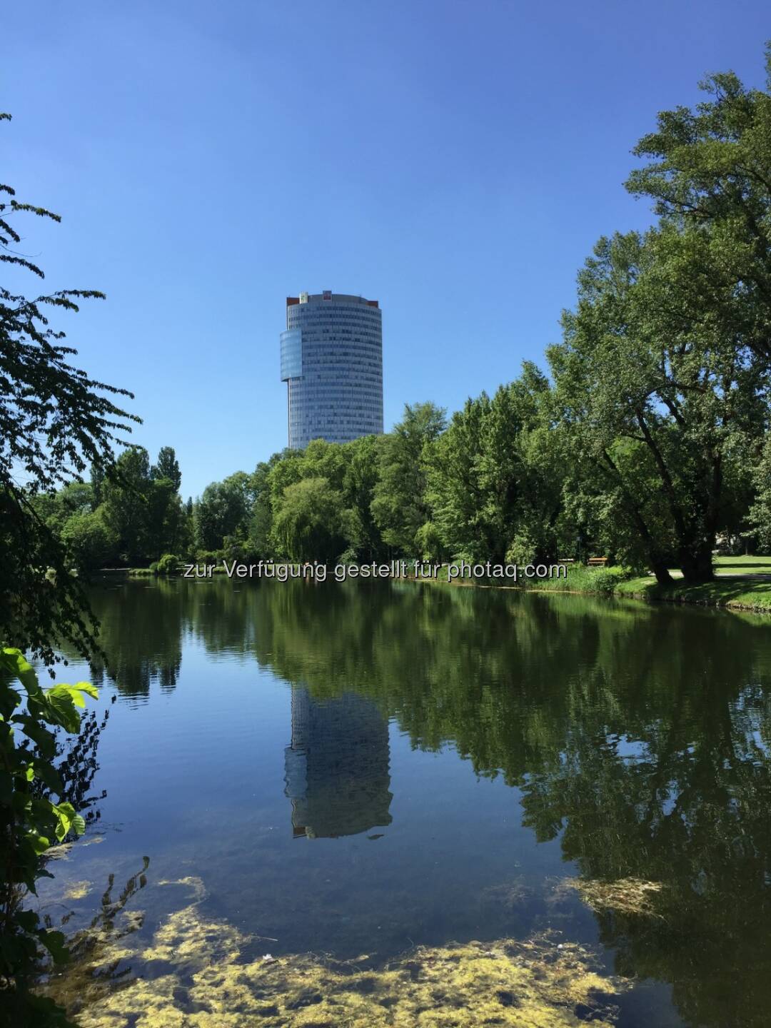 Spaziergang Alte Donau mit Blick auf den Florido-Tower, nach der Warimpex-HV 3.6.19