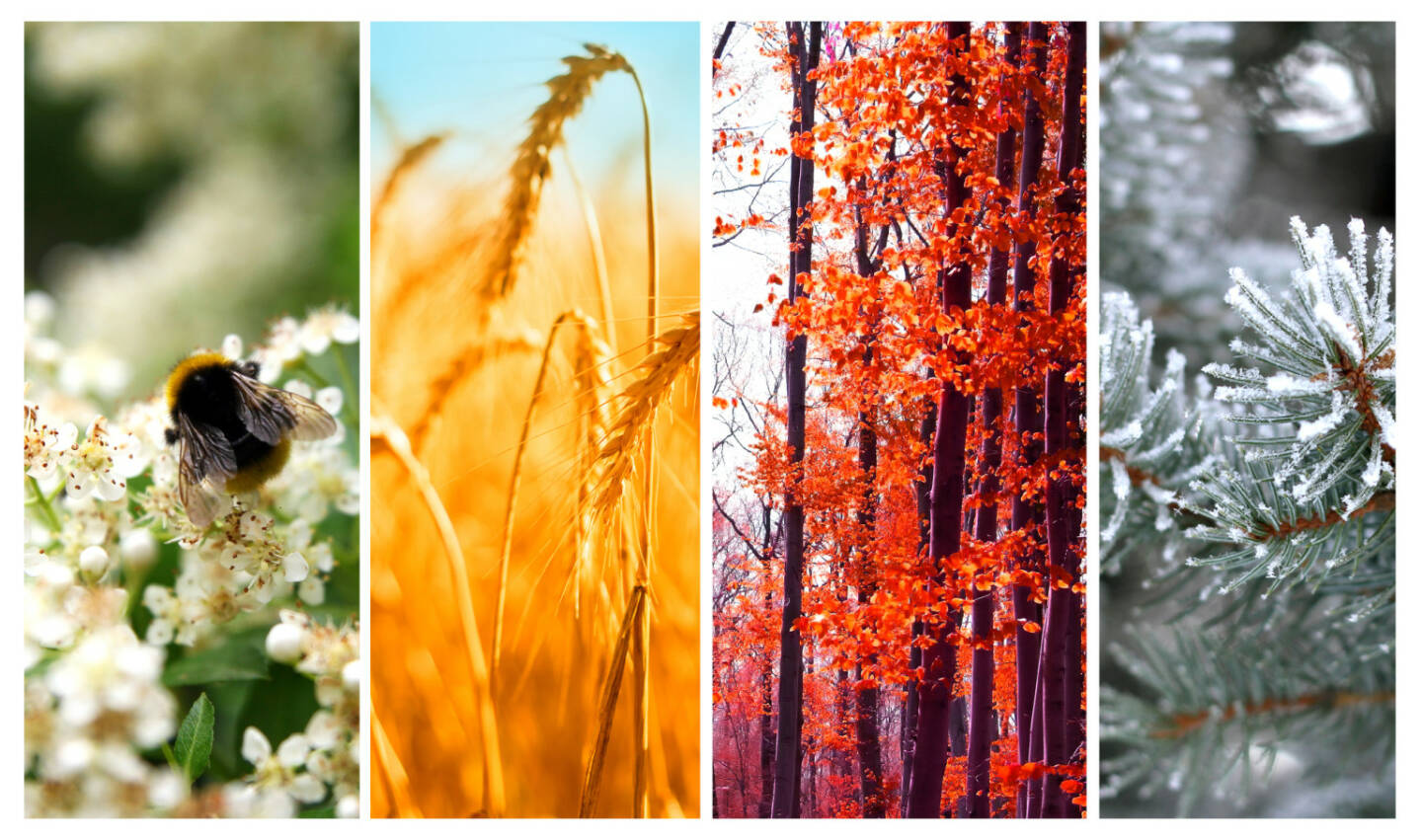 Vier Jahreszeiten: Frühling, Sommer, Herbst und Winter - https://de.depositphotos.com/42457073/stock-photo-four-seasons-spring-summer-autumn.html