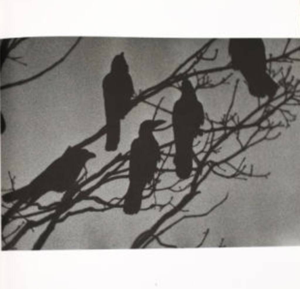 eine Seite aus Masahisa Fukase - Karasu, Ravens, 2000-3500 Euro - http://www.josefchladek.com/book/masahisa_fukase_-_karasu_ravens (07.07.2013) 