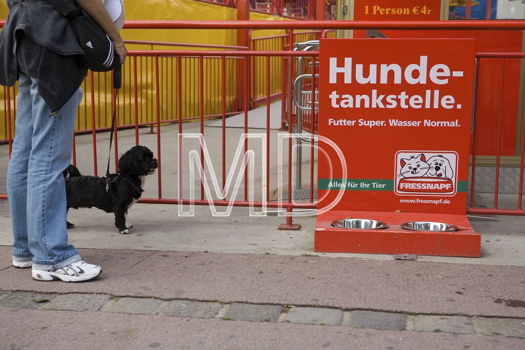 Hundetankstelle, © www.martina-draper.at (08.07.2013) 