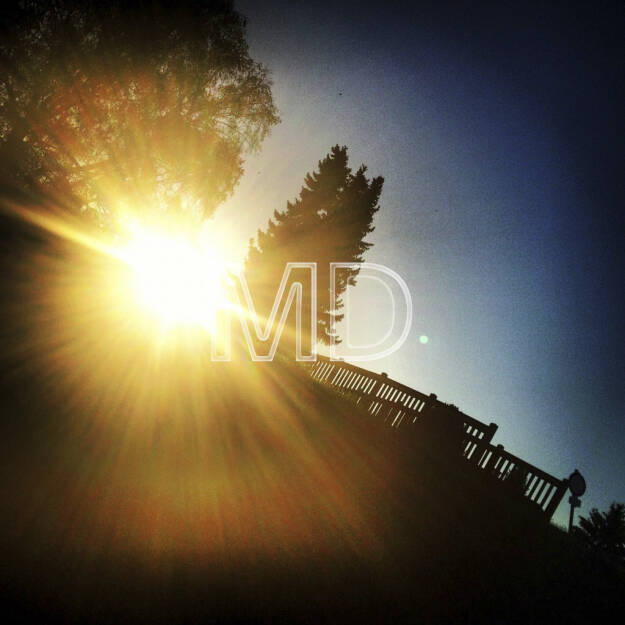 Gegenlicht, © www.martina-draper.at (08.07.2013)