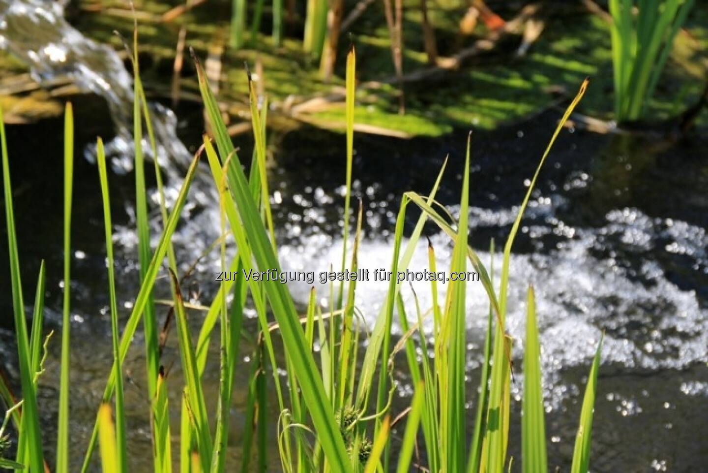 Wasser; Alpbach