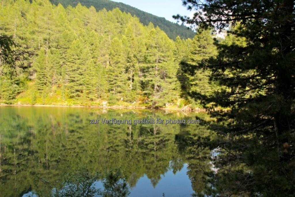 Wald, See, Natur; Alpbach, © Susanne Lederer-Pabst (10.07.2013) 