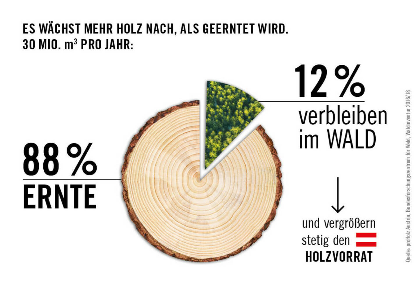 proHolz Austria - Arbeitsgemeinschaft der österreichischen Holzwirtschaft: proHolz Austria: Aktive Waldbewirtschaftung sichert den Klimaschutz, Fotocredit:Cayenne