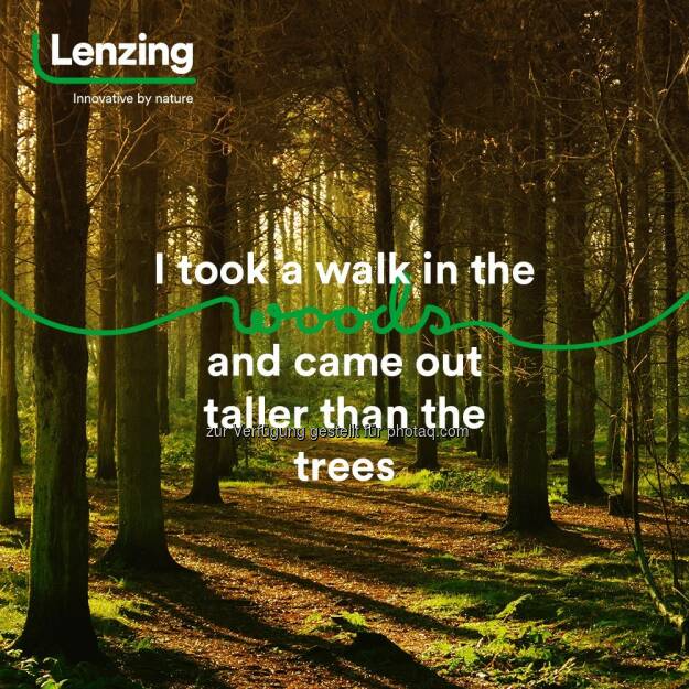 Happy International Forest Day!   Source: http://facebook.com/LenzingGroup (21.03.2020) 