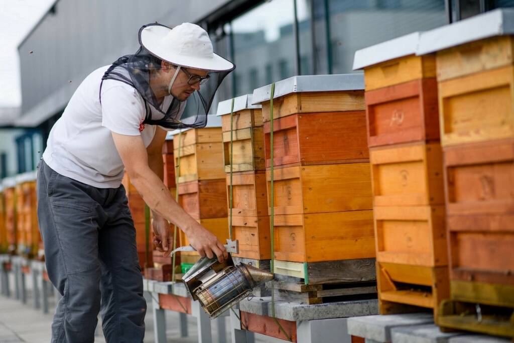 Eine Million Bienen auf dem Dach der UniCredit Bank Austria Unternehmenszentrale am Austria Campus angesiedelt, Credit: Unicredit, © Aussender (19.05.2020) 