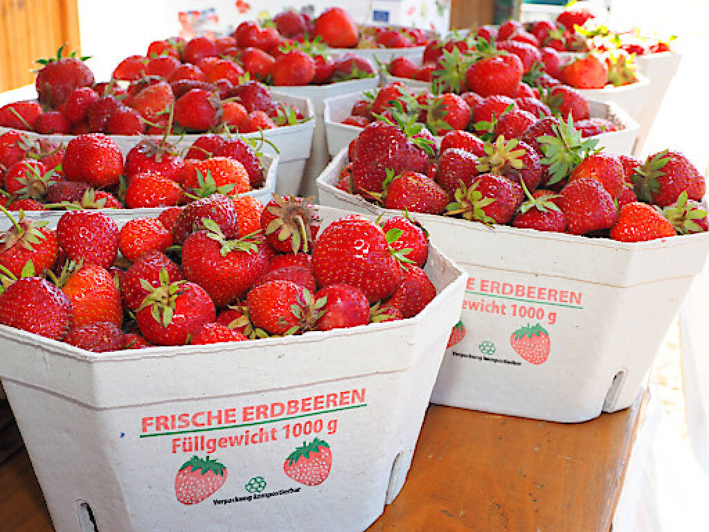 Bauernbund Niederösterreich (BBN): Erdbeeren schmecken regional am besten, Fotocredit:NÖ Bauernbund, © Aussender (22.05.2020) 