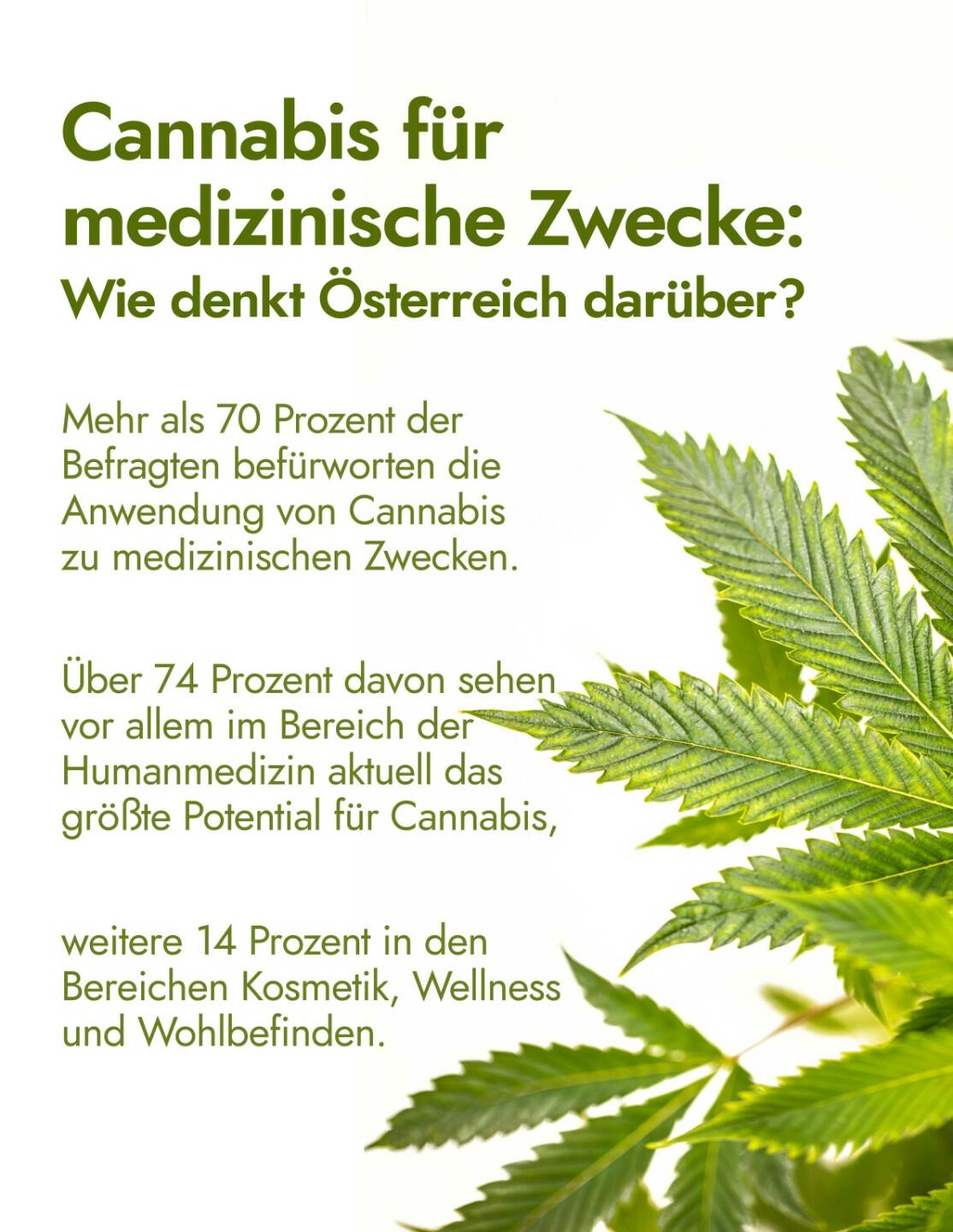 netdoktor.at: Cannabis für medizinische Zwecke: Wie denkt Österreich darüber? Mehr als 98 Prozent der Österreicher halten den medizinischen Einsatz von Cannabinoiden wie THC oder CBD als gerechtfertigt, fast 85 Prozent haben bereits Produkte auf Hanfbasis gekauft; Fotocredit:iStock