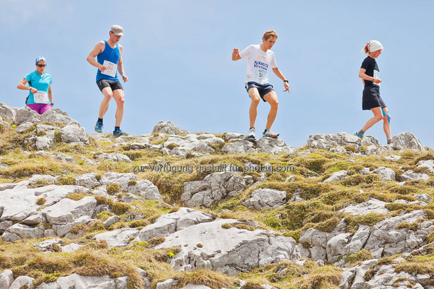 Laufen, Berg, ESPA-Ötscher-Marathon 2013 