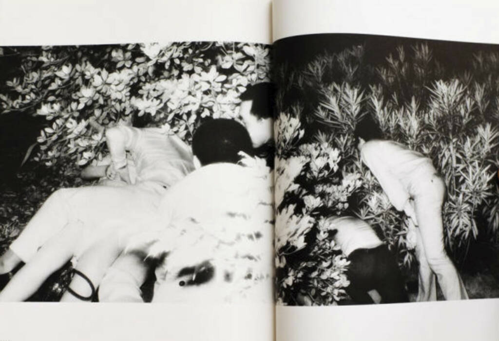 eine Seite aus Kohei Yoshiyuki - Document Kouen / Document Park, Preis: 350-550 Euro, http://josefchladek.com/book/kohei_yoshiyuki_-_document_kouen_document_park (02.08.2013) 