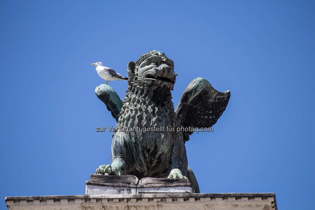 Venedig, Möwe, Löwe mit Flügeln, © Nina Krist (Philoro) (05.08.2013) 