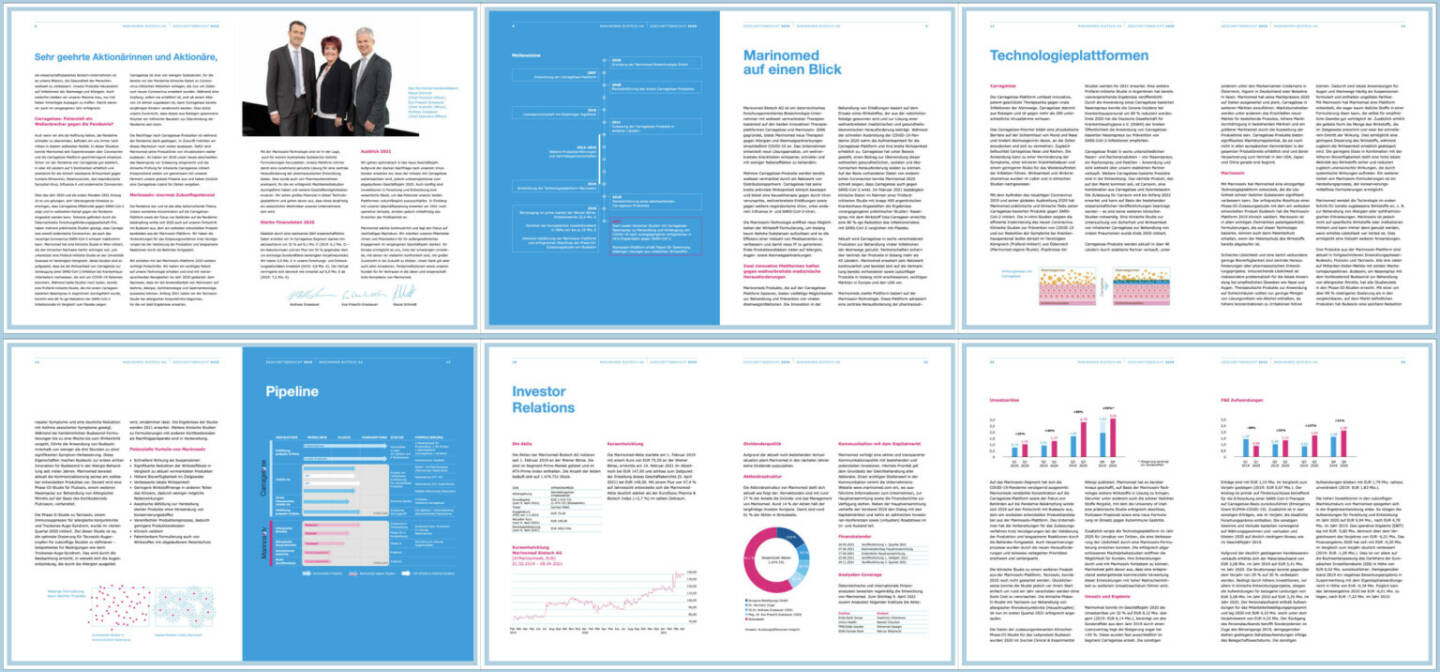 Marinomed Geschäftsbericht 2020 - https://boerse-social.com/companyreports/2021/214486/marinomed_geschaftsbericht_2020