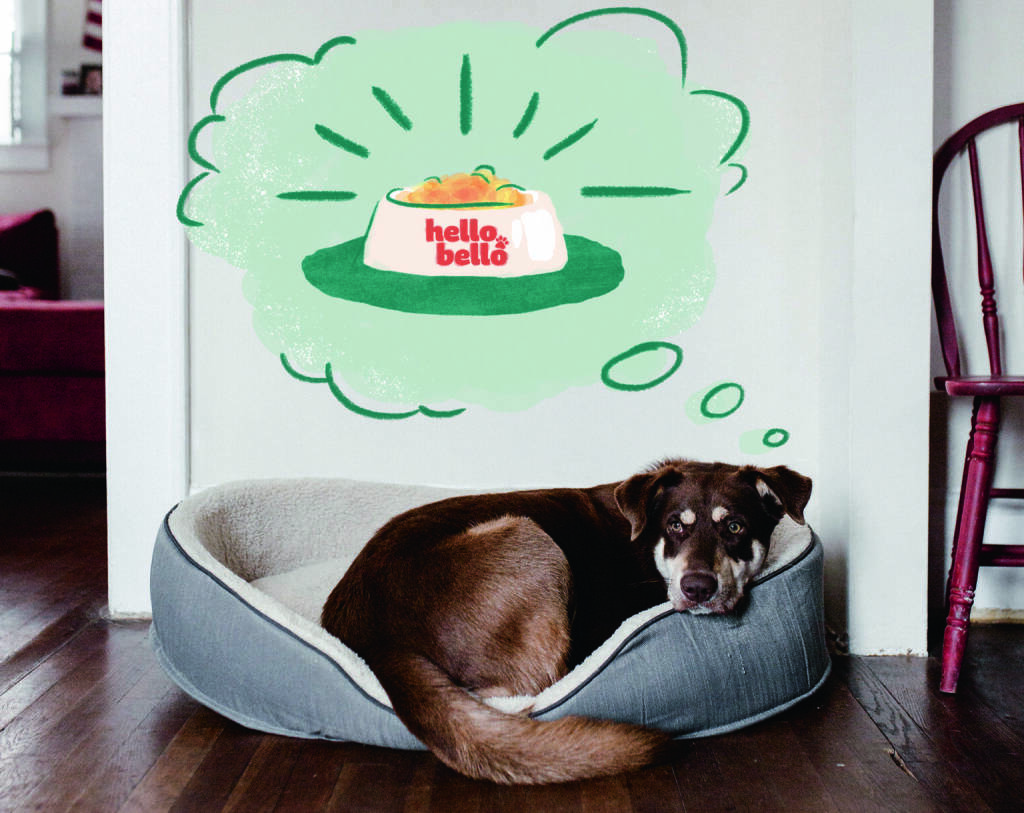 HelloBello Tiernahrung GmbH: Wiener Start-Up “HelloBello” greift nach deutschen Hundenäpfen,  Nach erfolgreichem Start in Österreich hat die starke Nachfrage aus Deutschland nun den deutschen Markteinstieg eingeleitet. Credit: HelloBello (07.07.2021) 