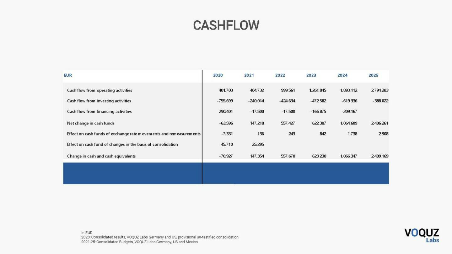 VOQUZ - Cashflow