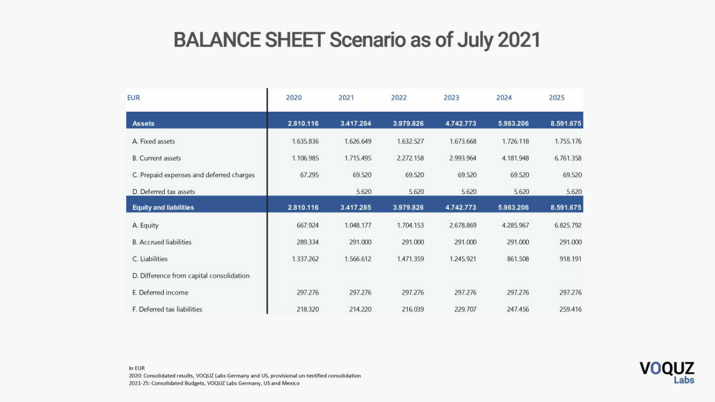 Voquz Labs - Balance Sheet