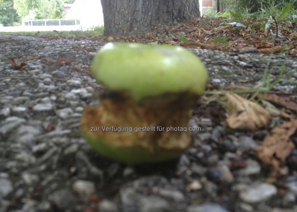 An Apple a day ... (21.08.2013) 