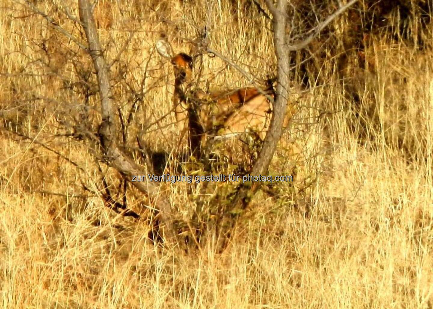 Namibia