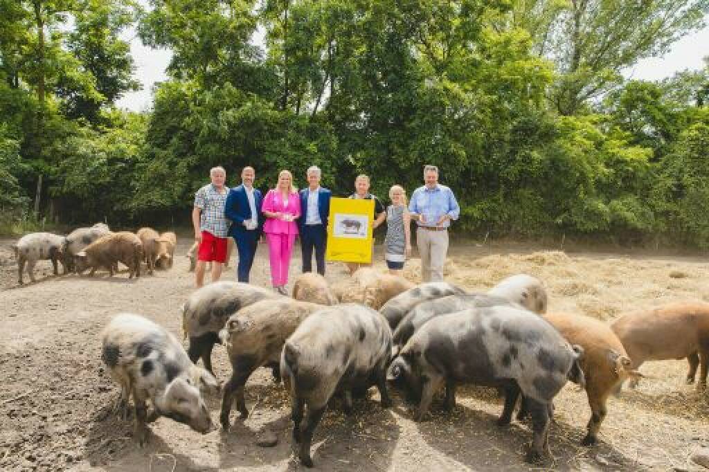 Mangaliza-Schwein ist neues Motiv der Serie Seltene Nutztierrassen - Abbildung der neuen Sonderbriefmarke Mangaliza-Schwein. Credit: Österreichische Post Bild; v.l.: Matthias Doser, Vizebürgermeister der Stadt Frauenkirchen, Hannes Schmid, Bürgermeister der Stadt Frauenkirchen, Daniela Winkler, Landesrätin der burgenländischen Landesregierung für Bildung, Familie, Kinder und Jugend, Alois Mondschein, Österreichische Post AG, Josef Göltl, Biobauer und Schweinezüchter, Kirsten Lubach, Designerin der Sonderbriefmarke, und Johannes Ehrenfeldner, Direktor der Nationalparkgesellschaft Neusiedler See-Seewinkel, vor den mit einer Briefmarke geehrten Mangaliza-Schweinen, © Aussender (24.06.2024) 