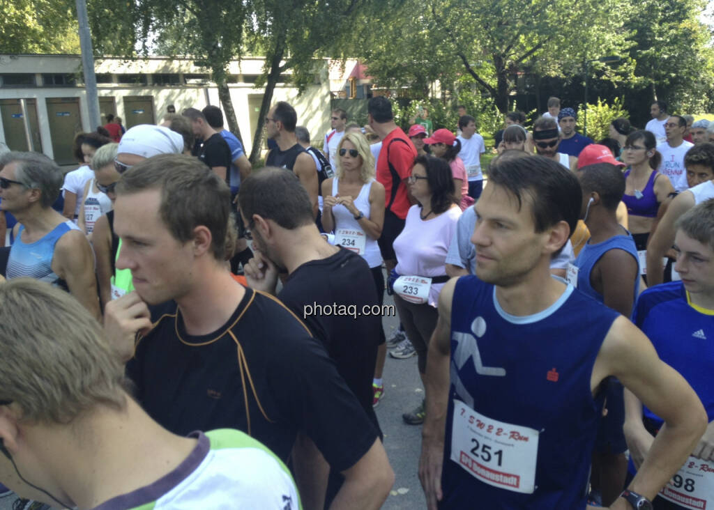 Donauparklauf 2013 (08.09.2013) 