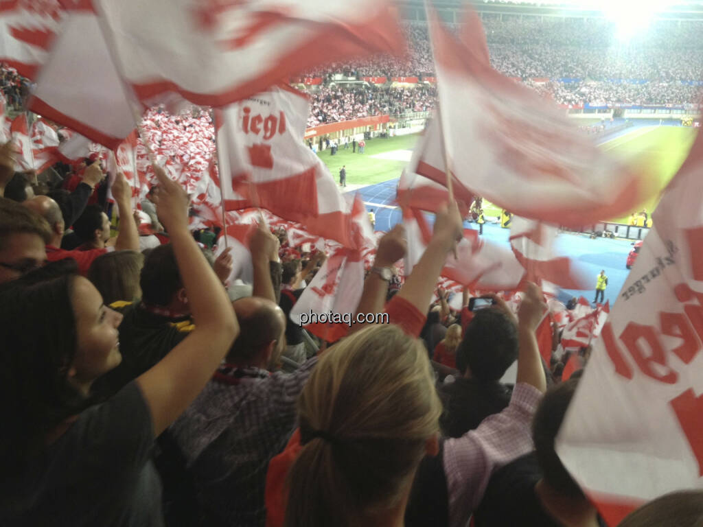 Österreich, rot-weiss-rot, Fussball, Jubel (11.09.2013) 