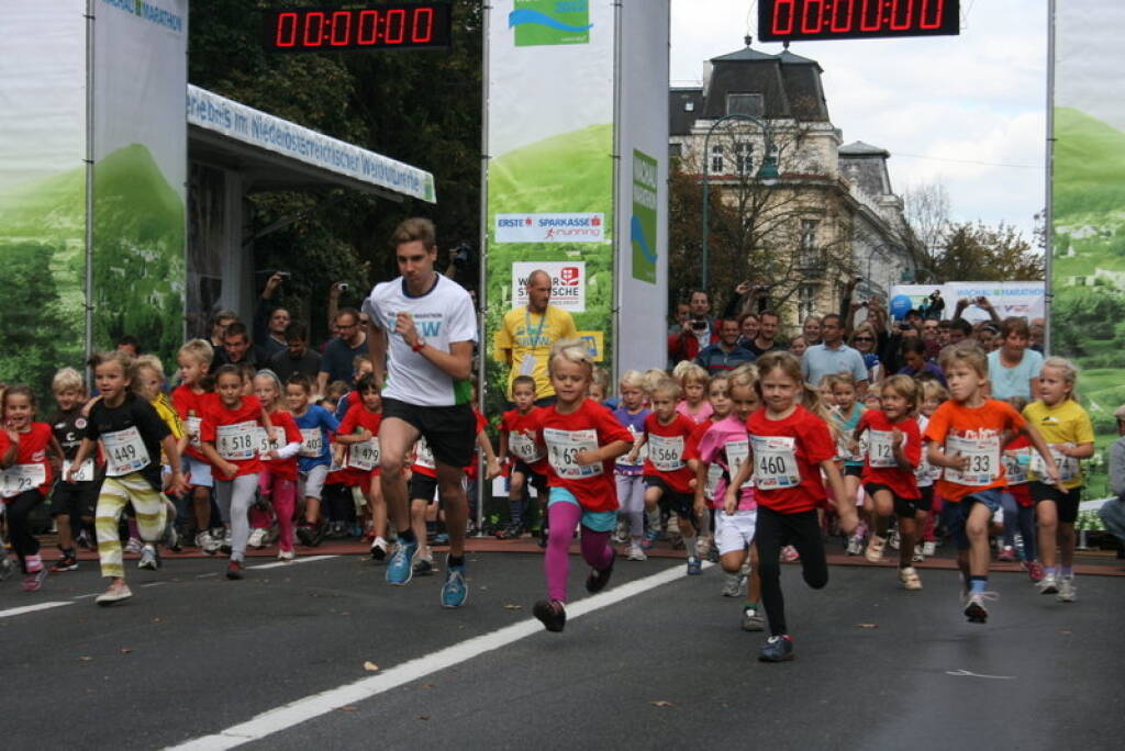 Wachau Marathon 2013, © Bezirksblätter und Franz Sperrer (15.09.2013) 